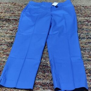 NWT Originally$79 Vibrant Blue Wide-Leg Pants